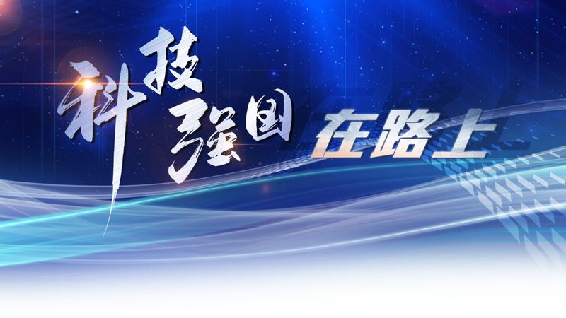 数据服务定制标准规范：构建高效数据管理基石